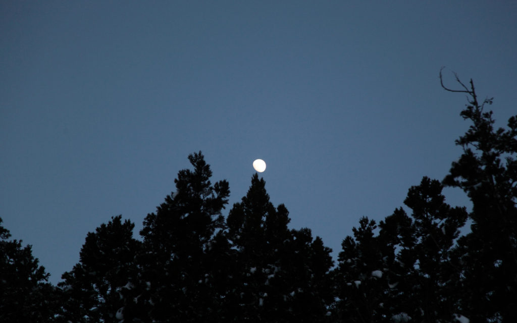 2015_そりデビュー_06