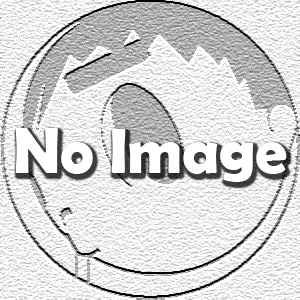 2016年 フリー参観デー